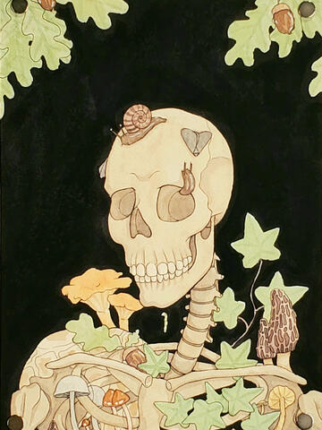 Death of an Oak